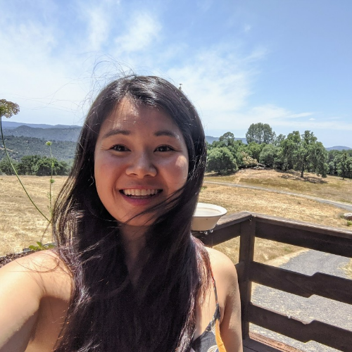 Craft 2025 - Chip Huyen